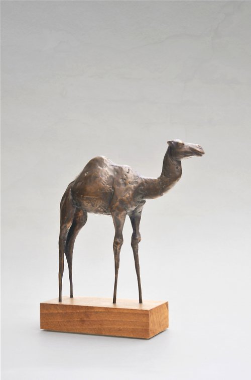 Velbloud (bronz)